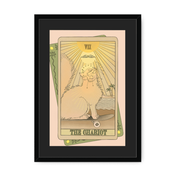 tarot-chariot-bf-bm-17.png