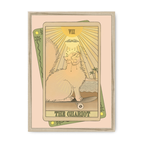 tarot-chariot-nf-nom-27.png