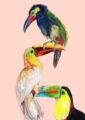 tower-of-toucans-giclee-art-print-19847846527132-2.jpg