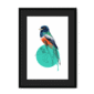 trogon-bird-bf-bm-15.png