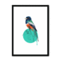 trogon-bird-bf-wm-14.png