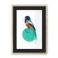 trogon-bird-nf-bm-14.png