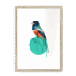 trogon-bird-nf-wm-14.png