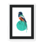 trogon-bird-wf-bm-14.png