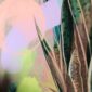 tropic-pop-giclee-art-print-29850940178588-2.jpg