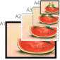 watermelon-lovebirds-giclee-framed-print-31616610599068-4.png