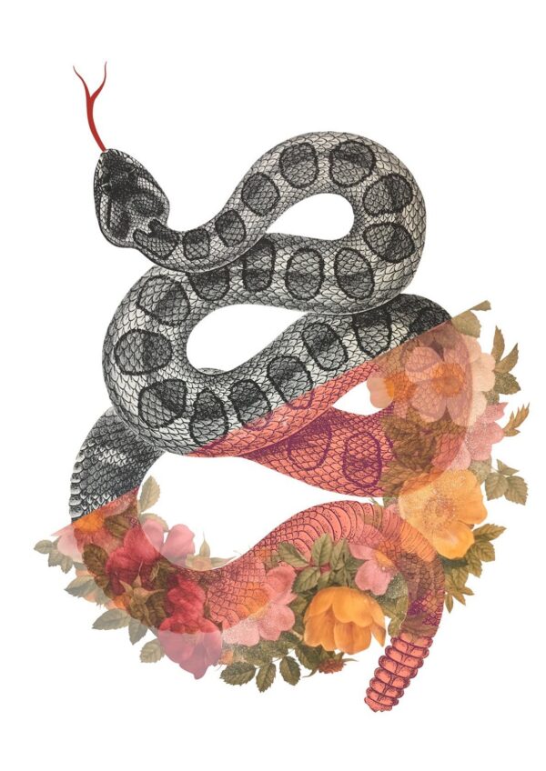 wreath-snake-matte-art-print-16949546287260-3.jpg