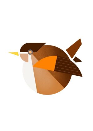 Wren Matte Art Print