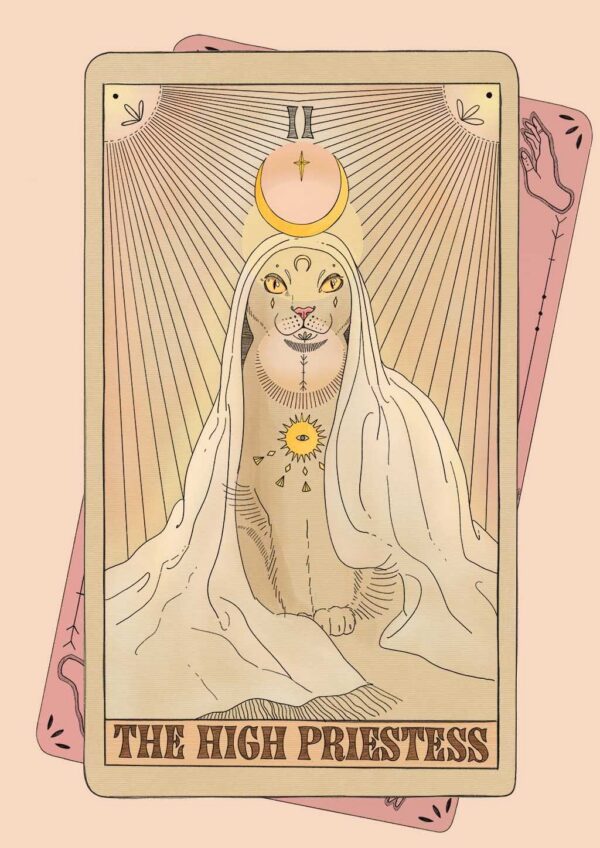 x503TarotCatsTheHighPriestessTarotCats-2.jpg