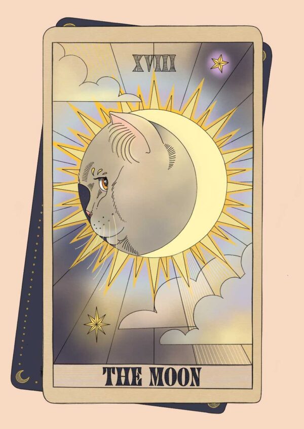 x507TheMoonTarotCats-5.jpg